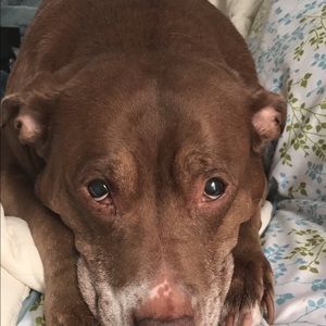 Meet your Posher, Khiara